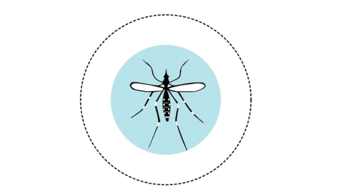 La nueva vacuna contra el dengue: todo lo que necesitas saber