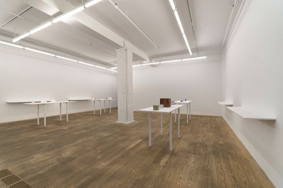 Michael Wang, 2012, installation view, Foxy Production, New York