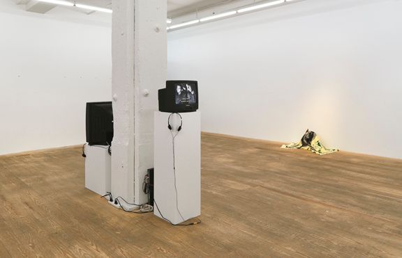 The Phantasm, 2011, installation view, Foxy Production, New York