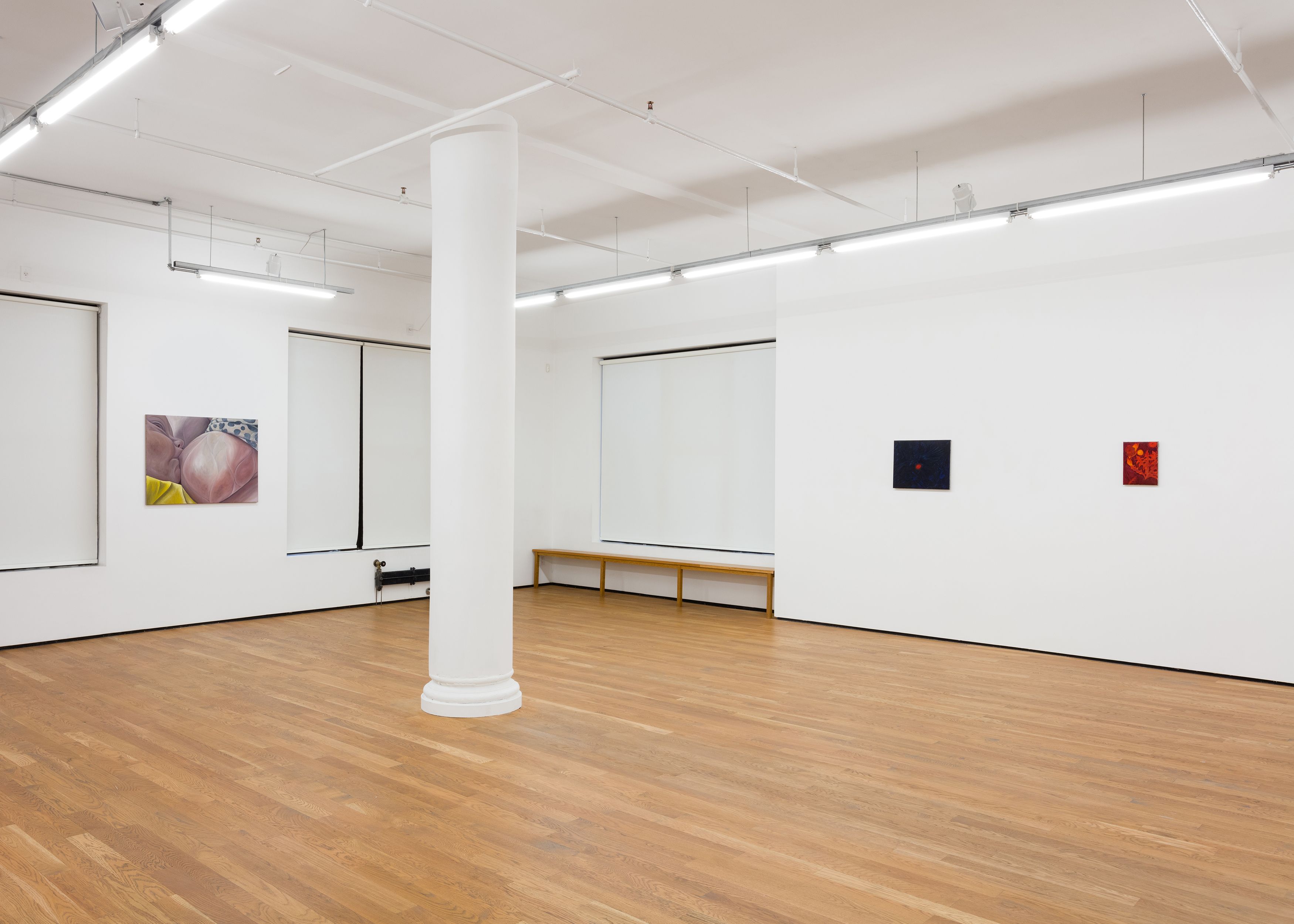 Srijon Chowdhury, 2020, installation view, Foxy Production, New York