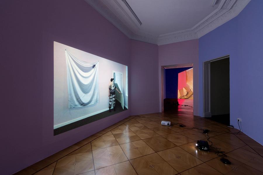 Petra Cortright, PETWELT, 2014, installation view, Société, Berlin