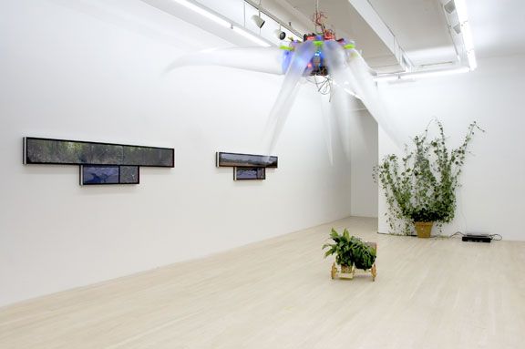 Networked Nature, 2007, installation views, Foxy Production, New York
