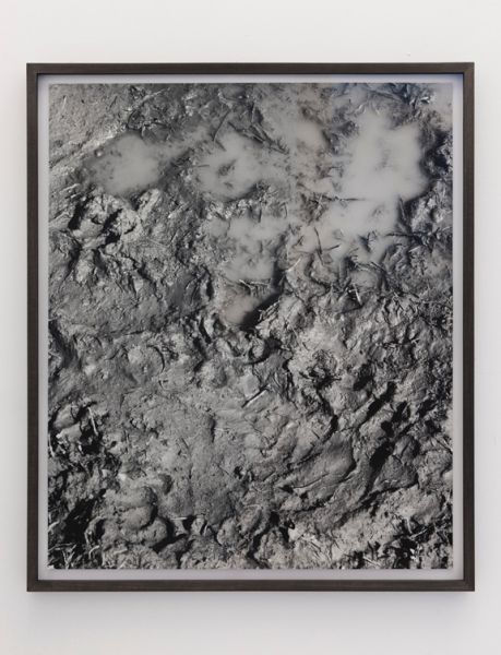 Talia Chetrit, Mud, 2011, silver gelatin print, 25.67 x 21.61 in.