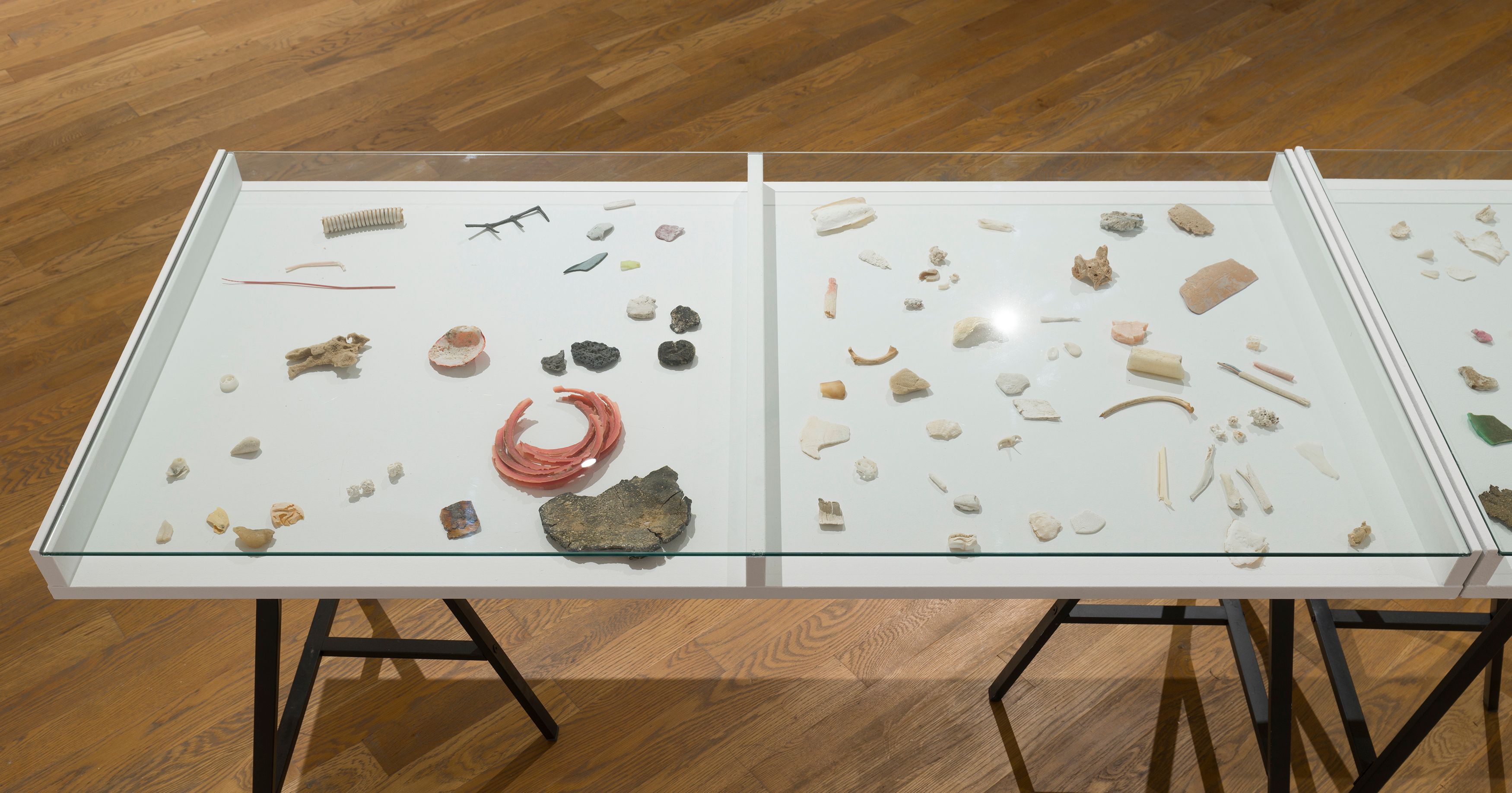 Rafal Bujnowski, Shell's Shells Collection, 2022, detail of organic and synthetic mixed media in 320 parts, dimensions variable 