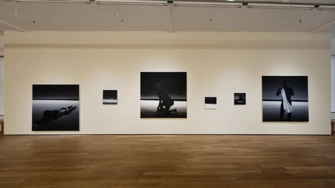 Rafal Bujnowski, 2019, installation view, Foxy Production, New York