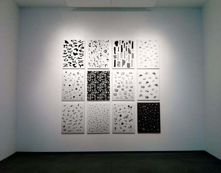 Michael Bell-Smith, Creative Elements (The Problem Creatives), 2012, ultrachrome pigment prints on stretched canvas, 12 parts, 26 x 34 x 1 1/2 in. (66.04 x 86.36 x 3.81 cm.) each. Installation view, ICA MECA, Portland, ME. Photo: Luc Demers