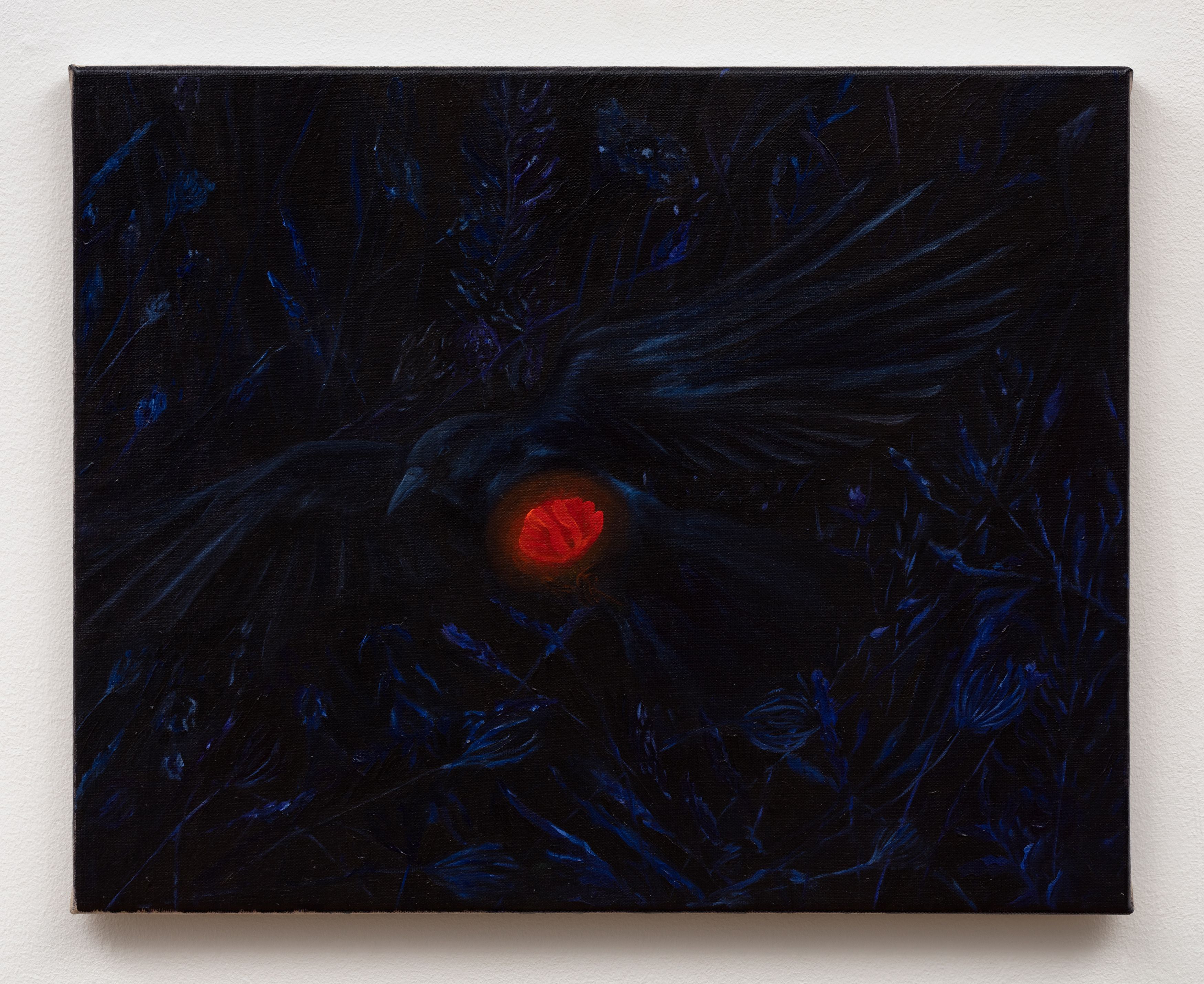 Srijon Chowdhury, Crow with a Poppy, 2020, oil on linen, 16 x 20 in. (40.64 x 50.8 cm)