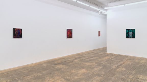 Sascha Braunig, 2011, installation view, Foxy Production, New York