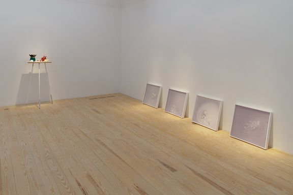 Hany Armanious, 2010, installation view, Foxy Production, New York