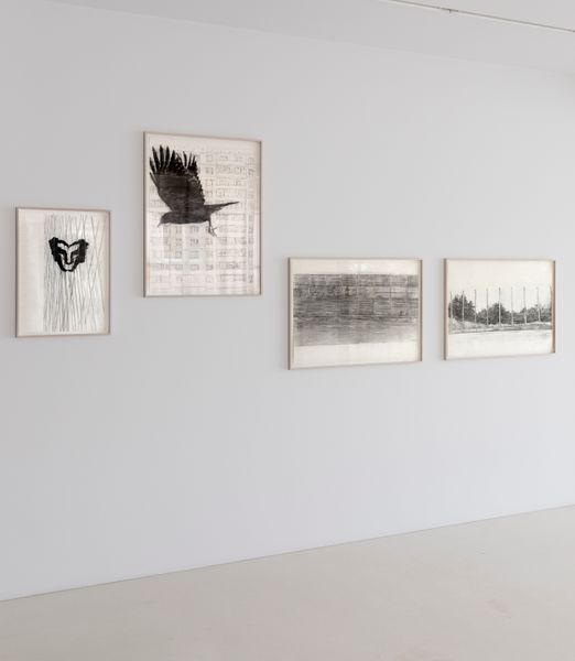 Olga Chernysheva, GRIDS@RIPS, 2020, installation view, Foksal Gallery Foundation, Warsaw 