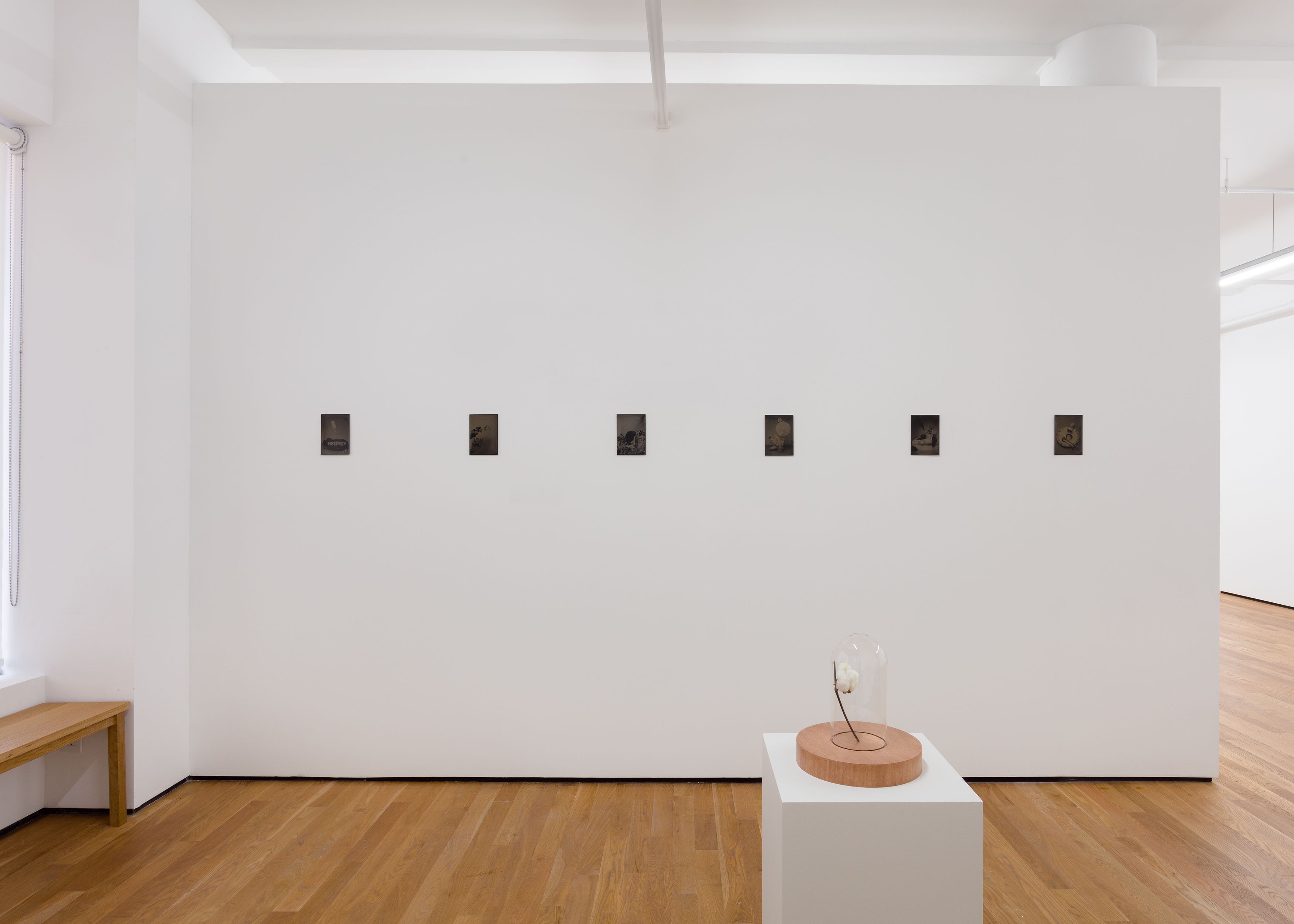 Château Shatto, installation view, Foxy Production, New York
