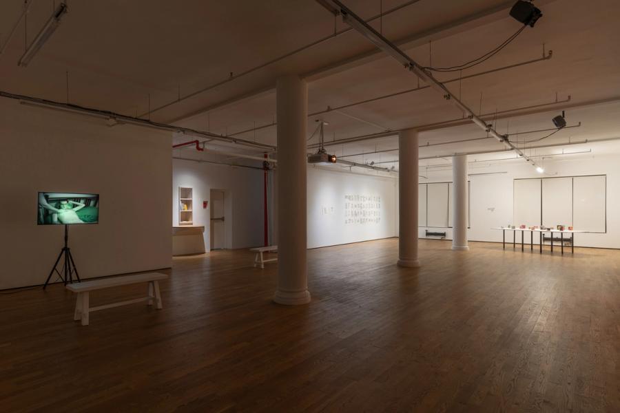 Steve Reinke, Sparrow Dust, 2021, installation view, Foxy Production, New York