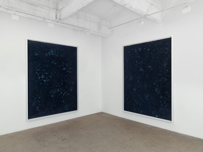 Travess Smalley, 2014, installation view, Higher Pictures, New York. 