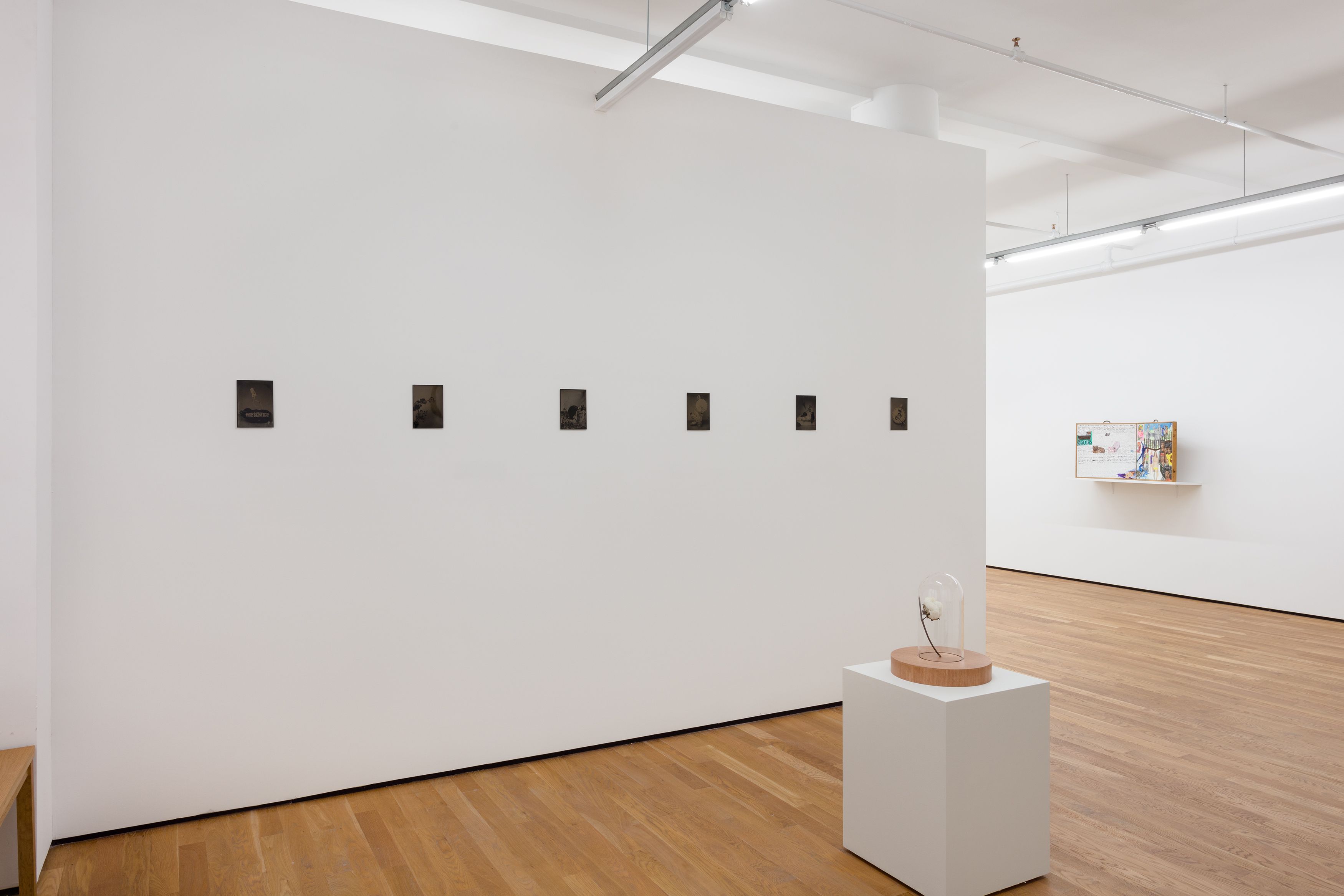 Château Shatto, installation view, Foxy Production, New York 