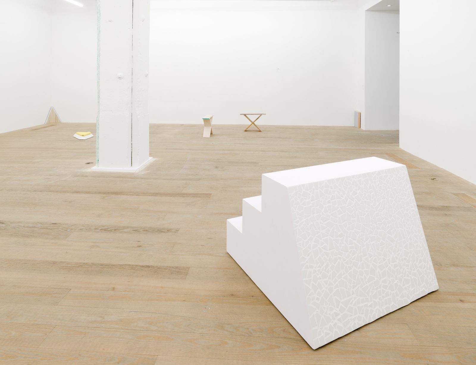 Gordon Hall, 2014, installation view, Foxy Production, New York