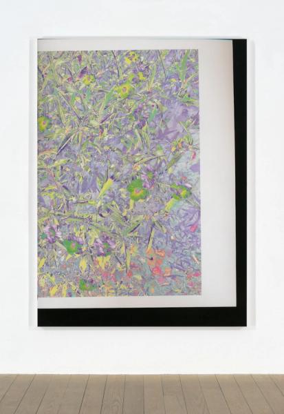 Travess Smalley, Untitled (Feb_24_2015_Floral_LuluBook_Scan 10), 2015, UV coated digital pigment print mounted on aluminum frame, 81.5 × 59.5 × 1.5 in. (207.01 × 151.13 × 3.81 cm.,) unique, TS_FP3133