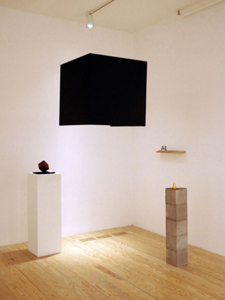 Double Hemisphere, 2009, installation view, Foxy Production, New York