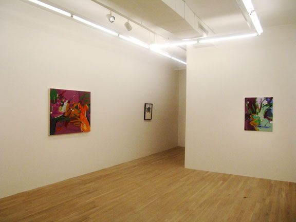 Yuh-Shioh Wong, 2006, installation view, Foxy Production, New York