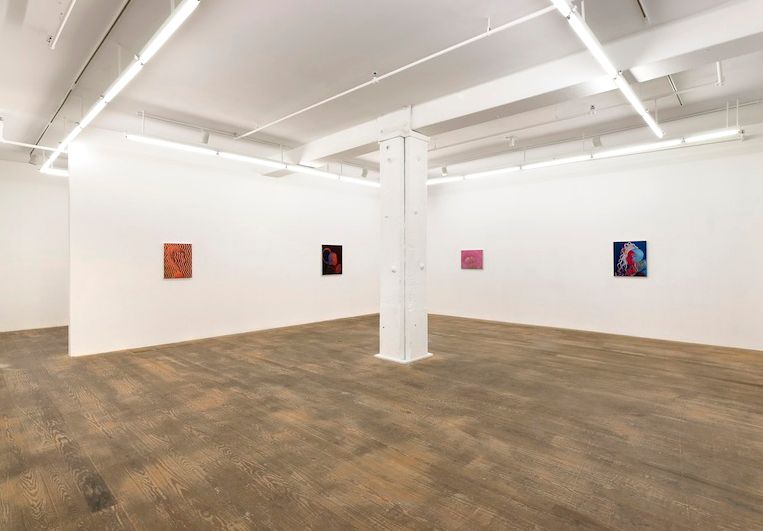 Sascha Braunig, 2013, installation view, Foxy Production, New York City