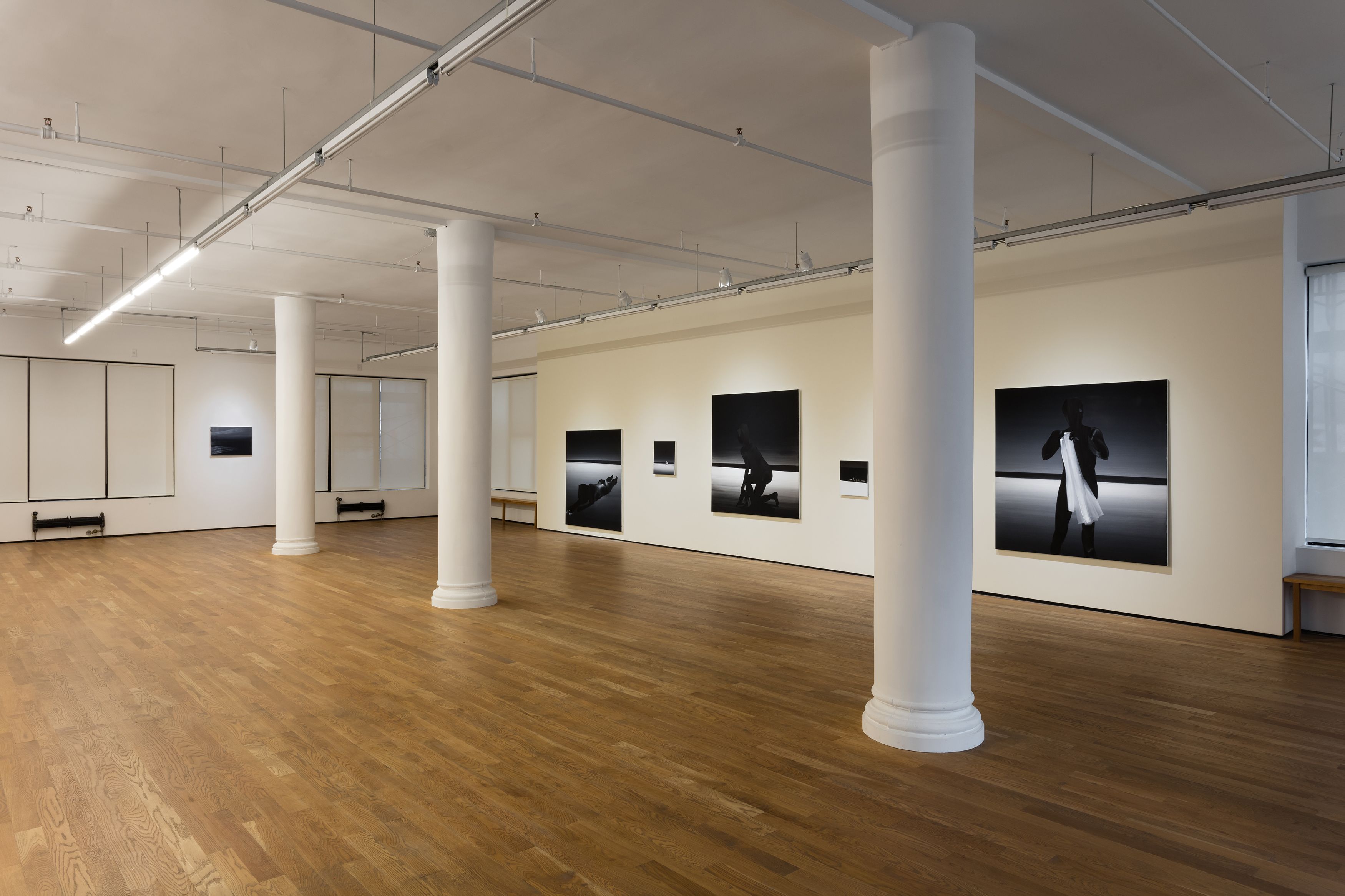 Rafal Bujnowski, 2019, installation view, Foxy Production, New York