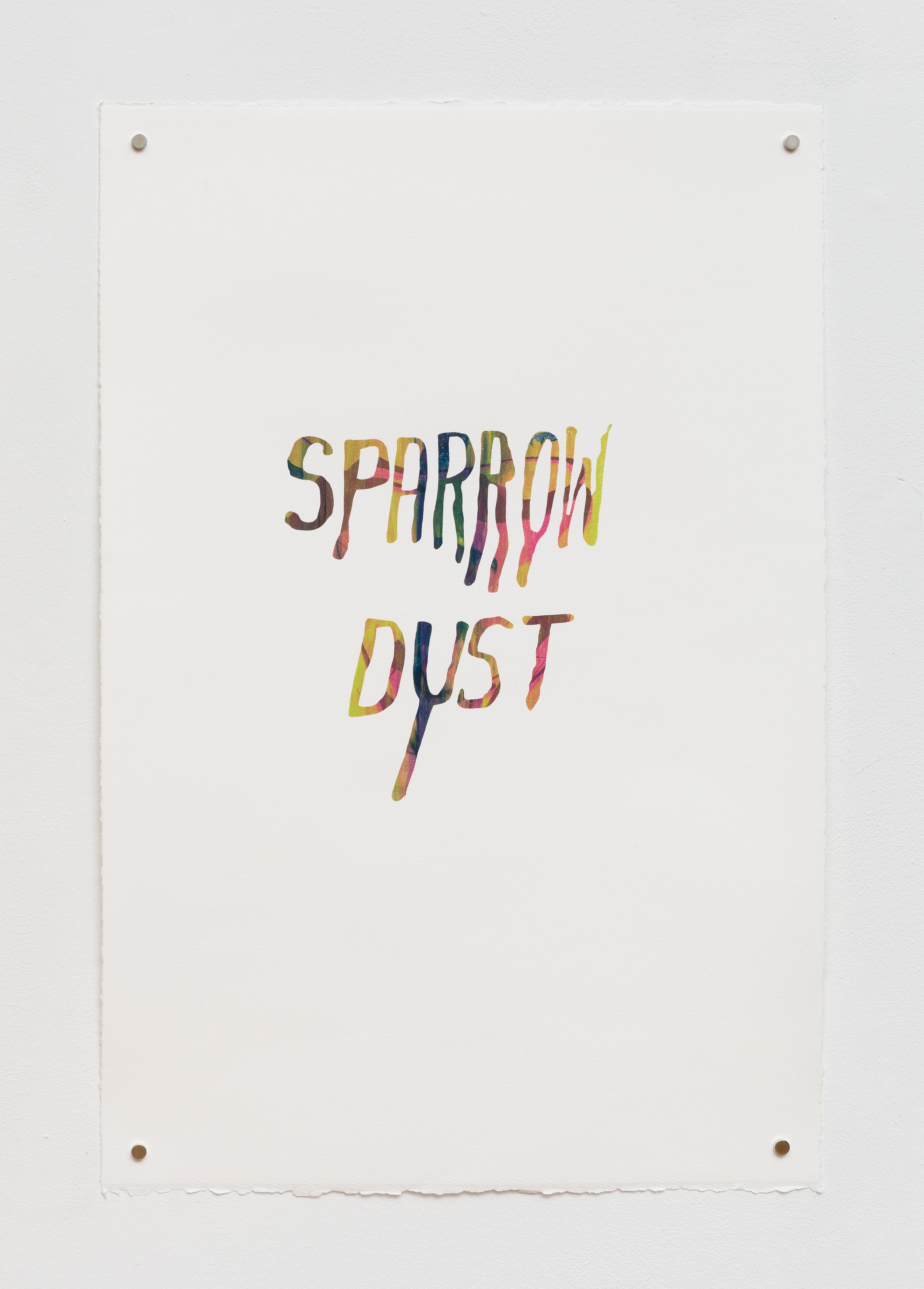 Steve Reinke, Untitled (Sparrow Dust), 2021, silkscreen on BFK Rives paper, 22 x 15 in.
