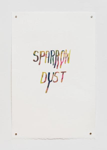 Steve Reinke, Untitled (Sparrow Dust), 2021, silkscreen on BFK Rives paper, 22 x 15 in. (55.8 x 38 cm)