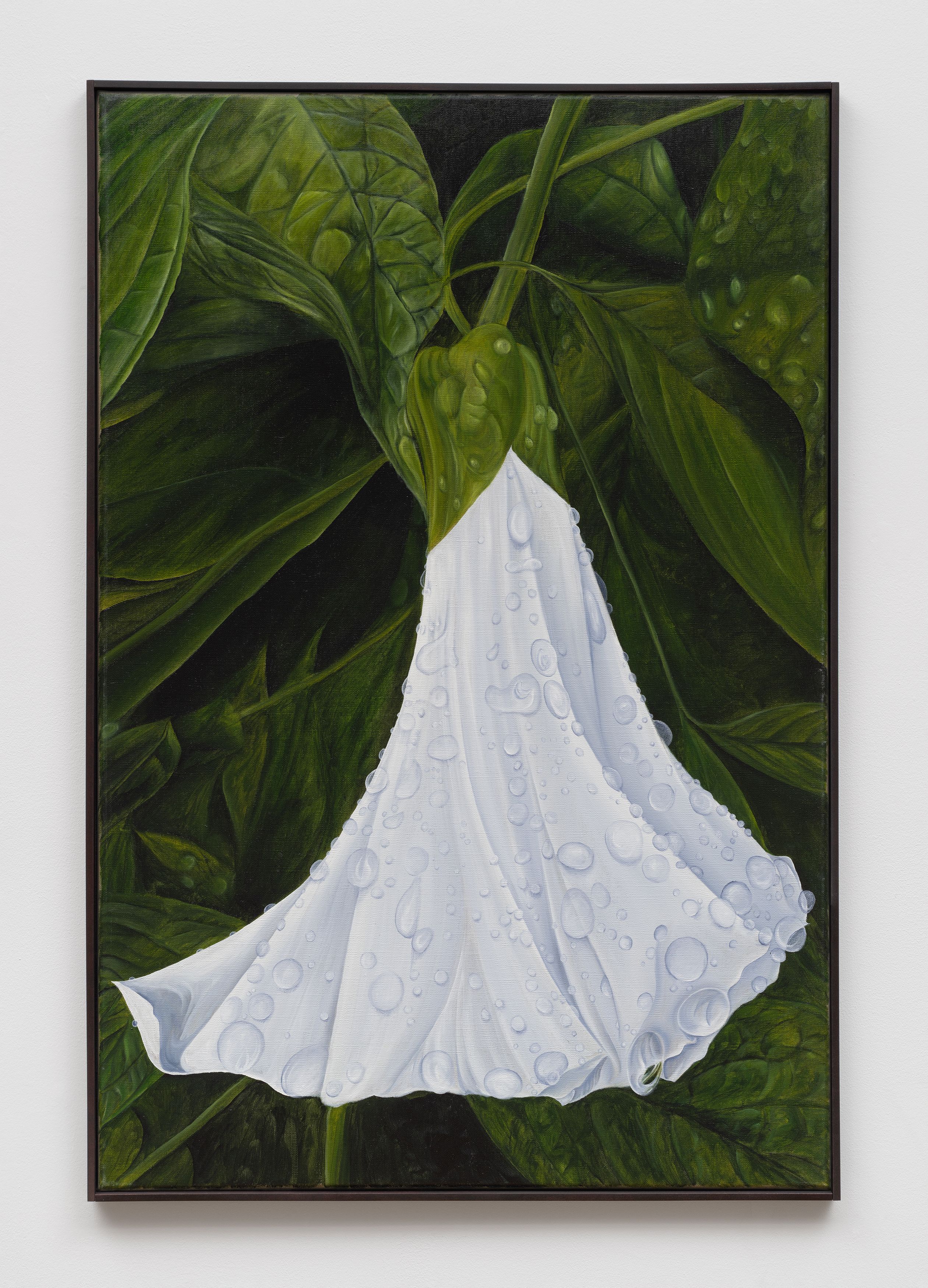 Srijon Chowdhury, Morning Glory with Dewdrops, 2021, oil on linen, 36 x 24 in. (91.44 x 60.96 cm)