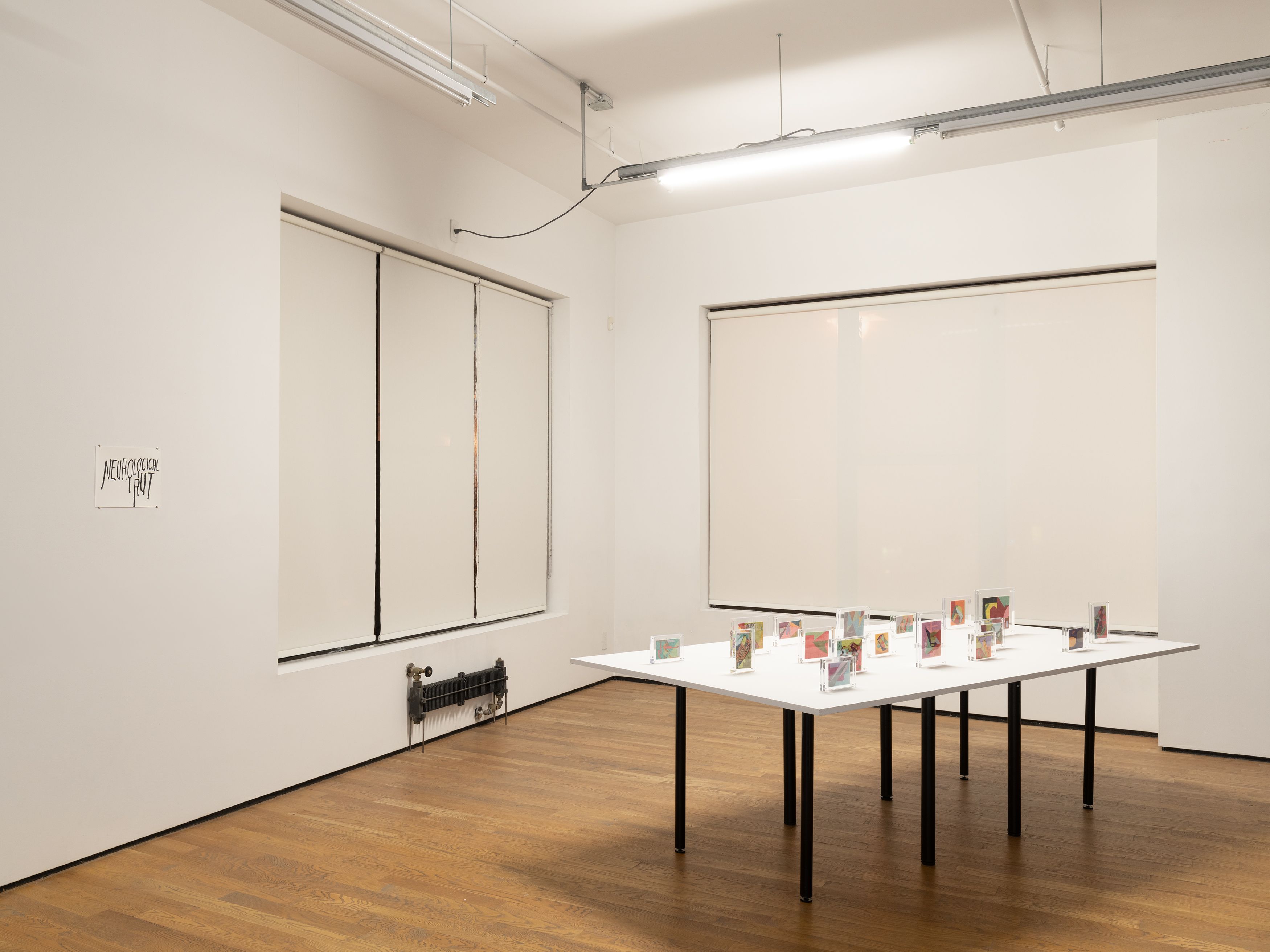 Steve Reinke, Sparrow Dust, 2021, installation view, Foxy Production, New York 