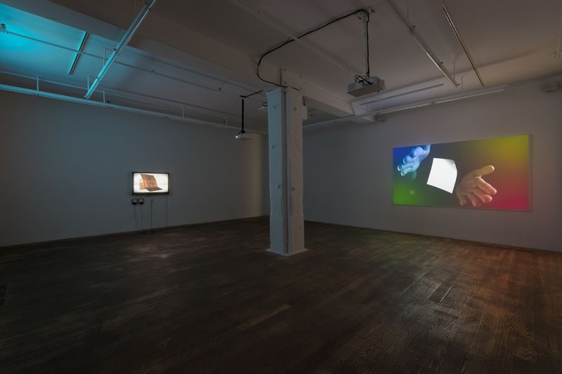 Michael Bell-Smith, 2012, installation view, Foxy Production, New York