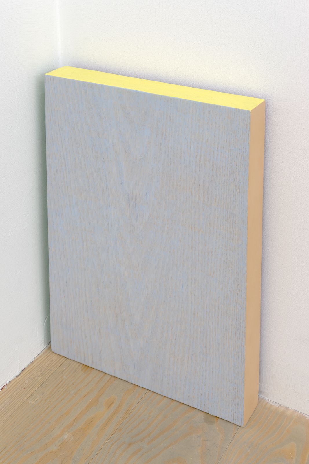 Gordon Hall, Set (IV), 2014, acrylic, watercolor, colored pencil, dyed wood filler, fabric on wood, set of two, 16 1⁄4 × 11 1⁄2 × 2 in.