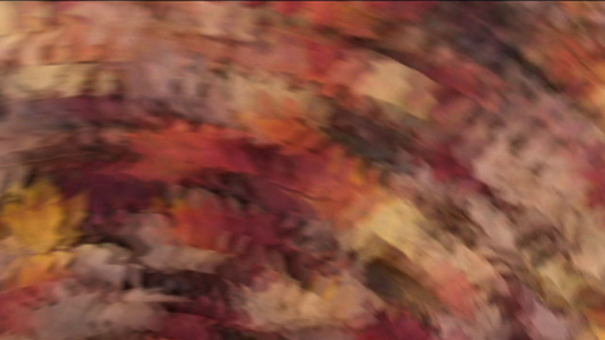 Peggy Ahwesh, H.D., 2005, still from video with sound, 1 min. 30 sec.