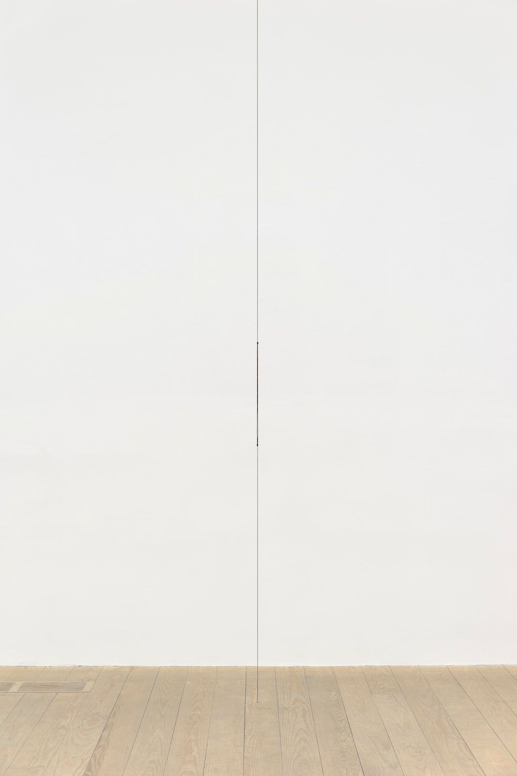 Stephen Lichty, Cord, 2014, silk, dimensions variable