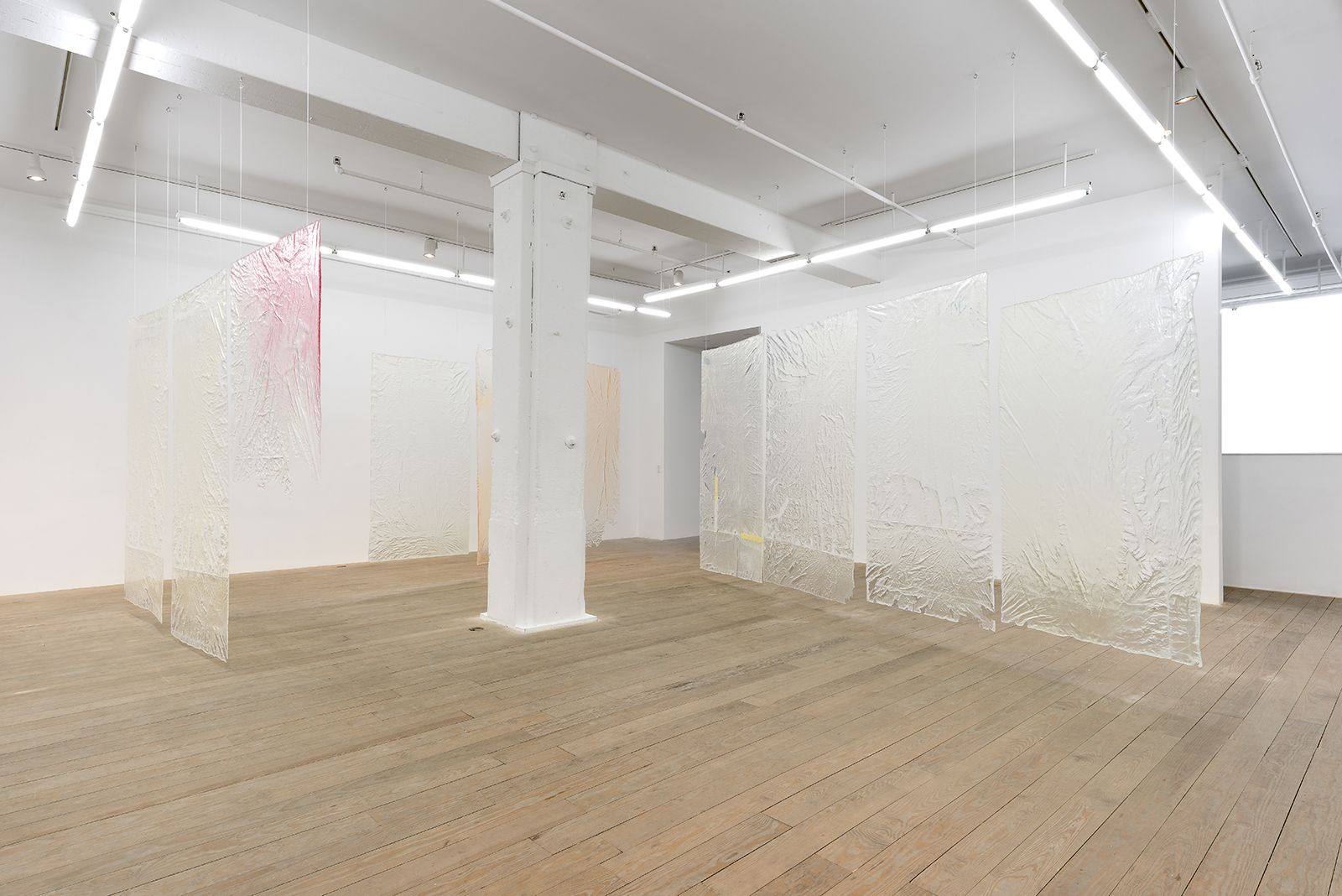 Ester Partegàs, 2015, installation view, Foxy Production, New York