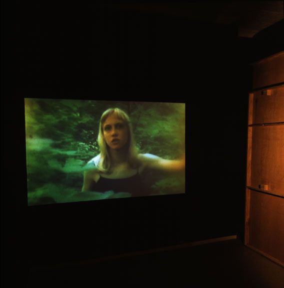 David Noonan in collaboration with Simon Trevaks, Sowa, 2003, 16 mm film, dimensions variable