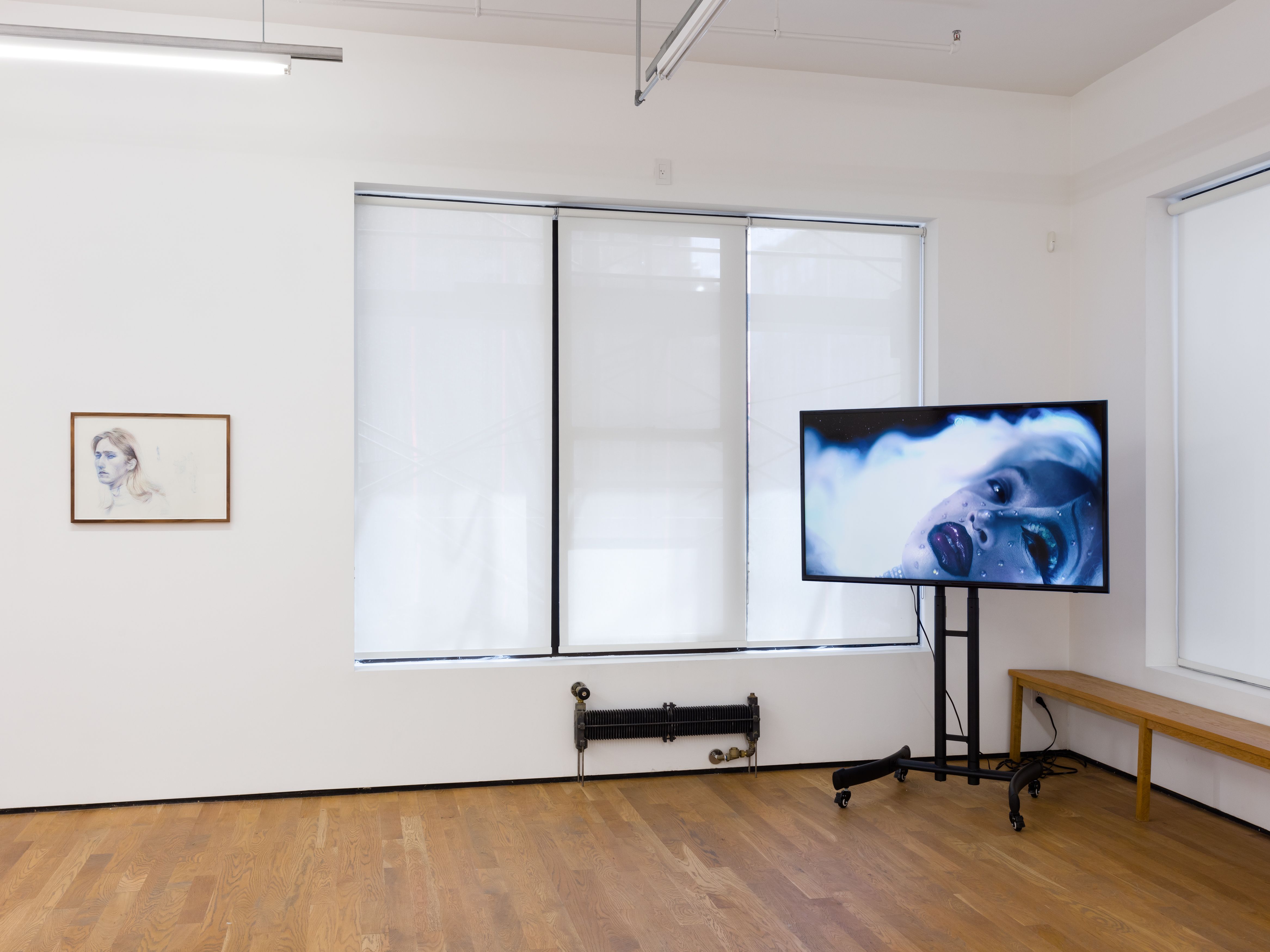 Installation view, Condo New York, 2019, Project Native Informant, London