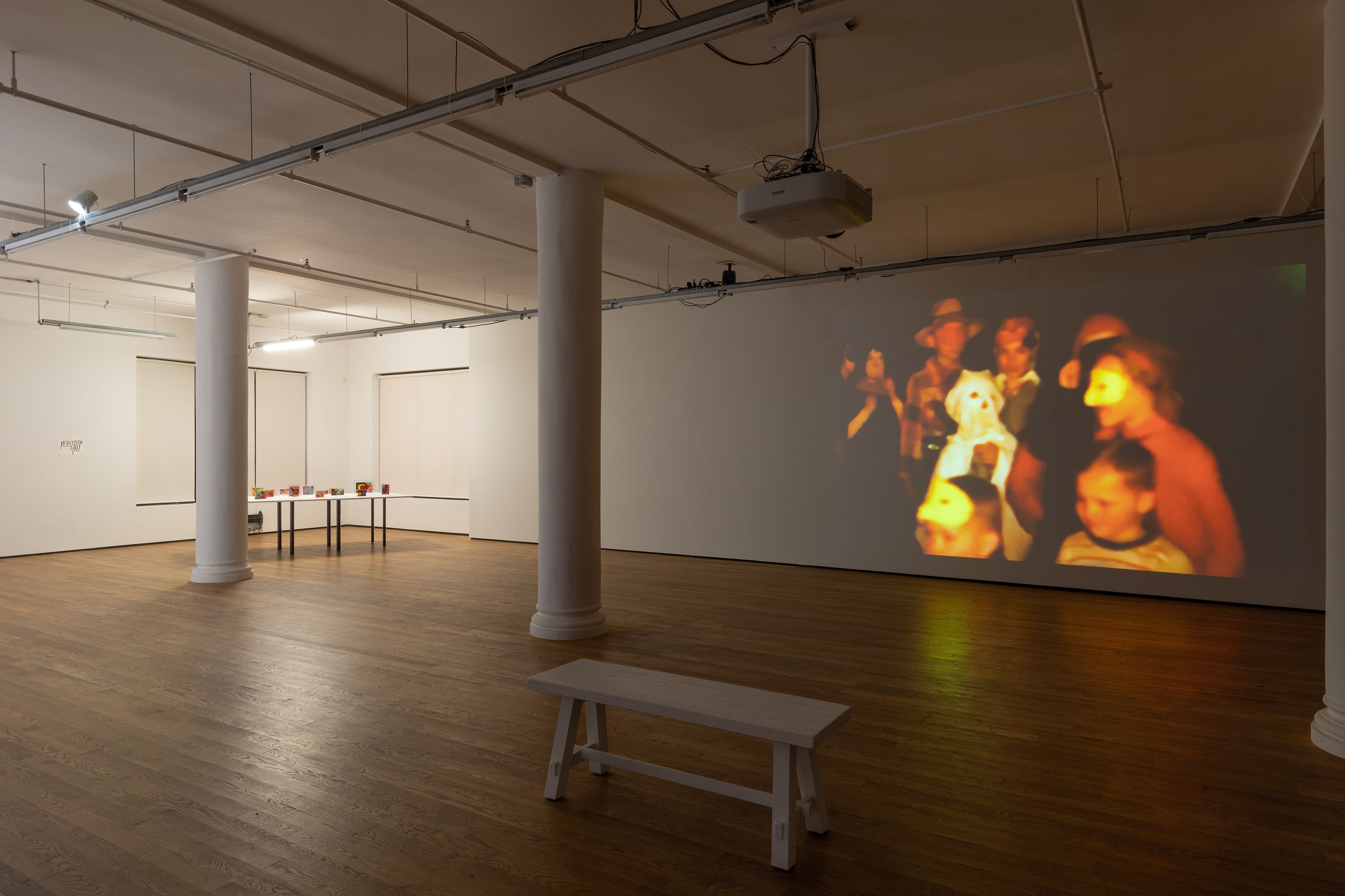 Steve Reinke, Sparrow Dust, 2021, installation view, Foxy Production, New York 