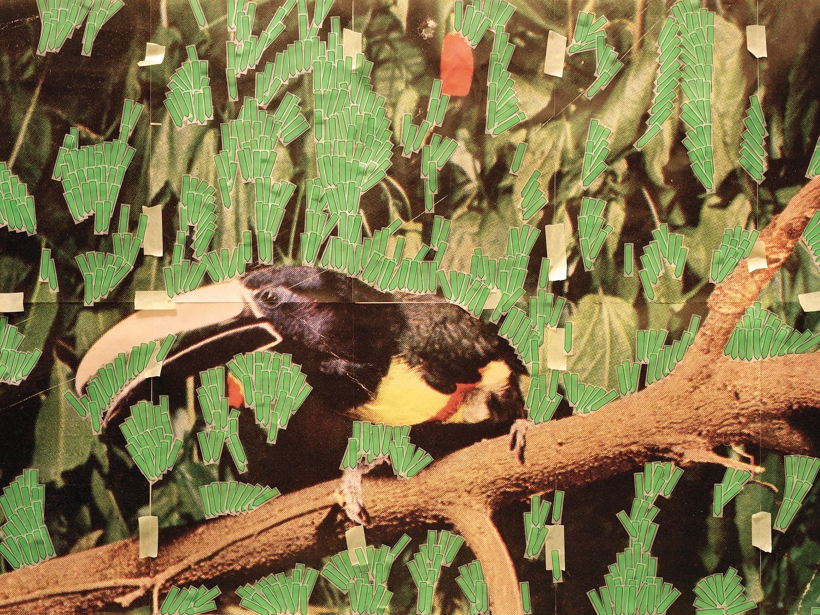 Sara Cwynar, Toucan In Nature (Post it Notes), 2013, chromogenic print on matte paper mounted to plexiglas, 30 × 40 in. (76.20 × 101.60 cm)