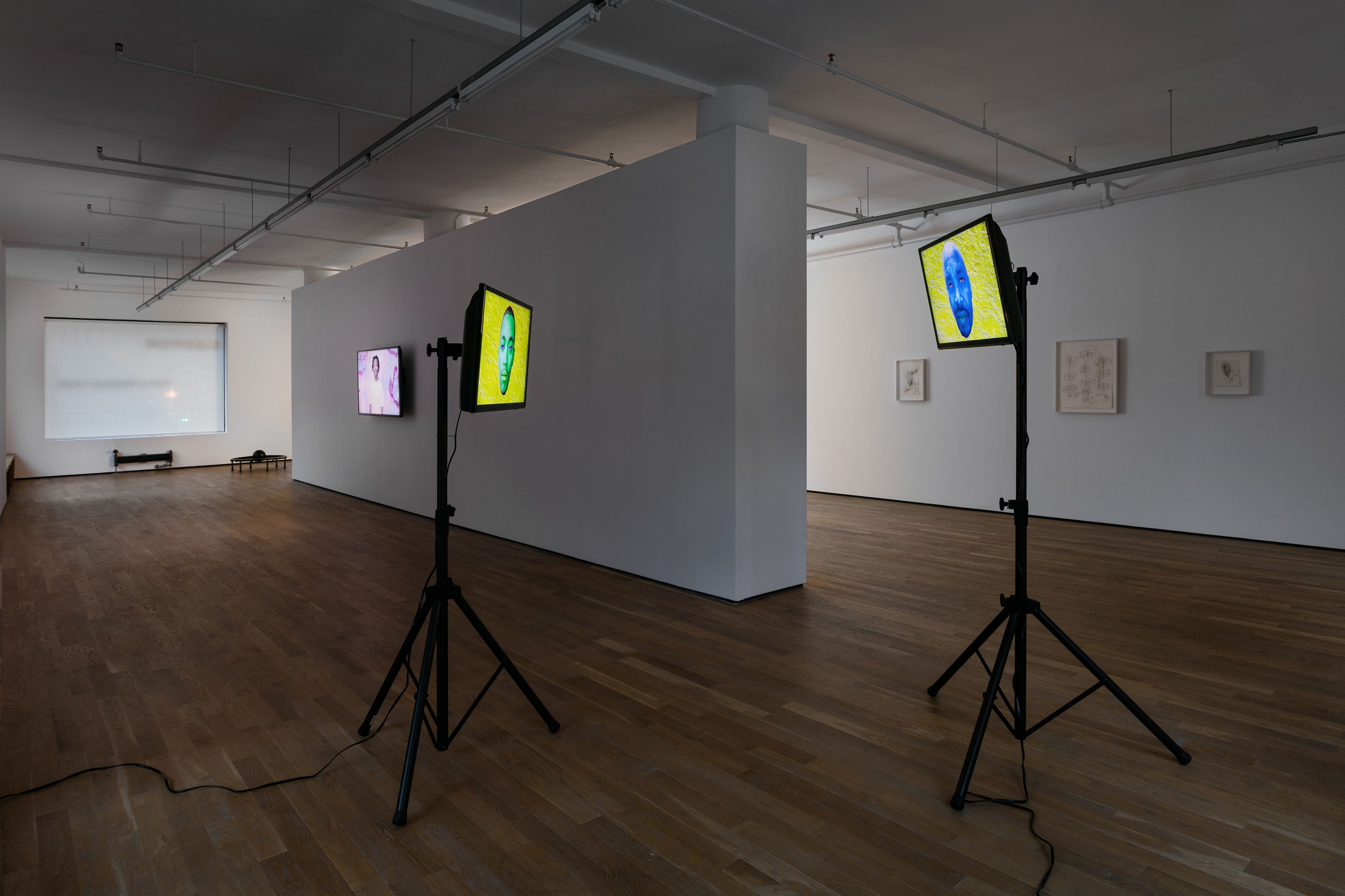 Bogosi Sekhukhuni, 2018, installation view, Foxy Production, New York