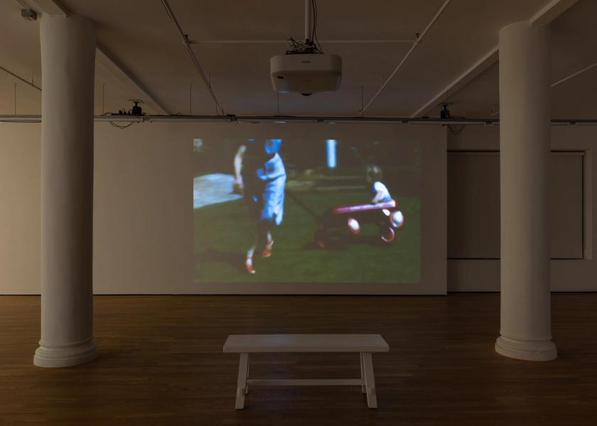 Steve Reinke, Father, Limping Through a Field of Clover, 2021, color video with sound, dimensions variable / 11 min. 14 sec.