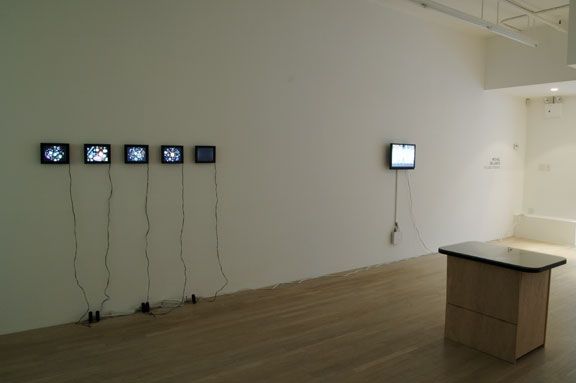 Michael Bell-Smith, 2006, installation view, Foxy Production, New York