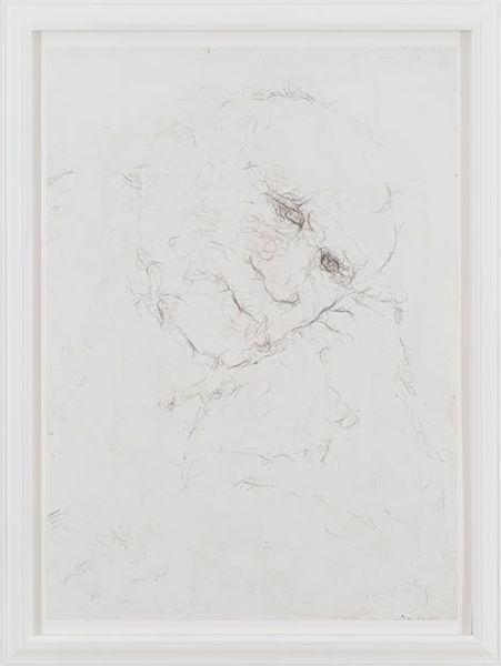 Hany Armanious, Untitled, 2007, hair on paper, 42 x 31 in. (107 x 78 cm.) HA_FP1014