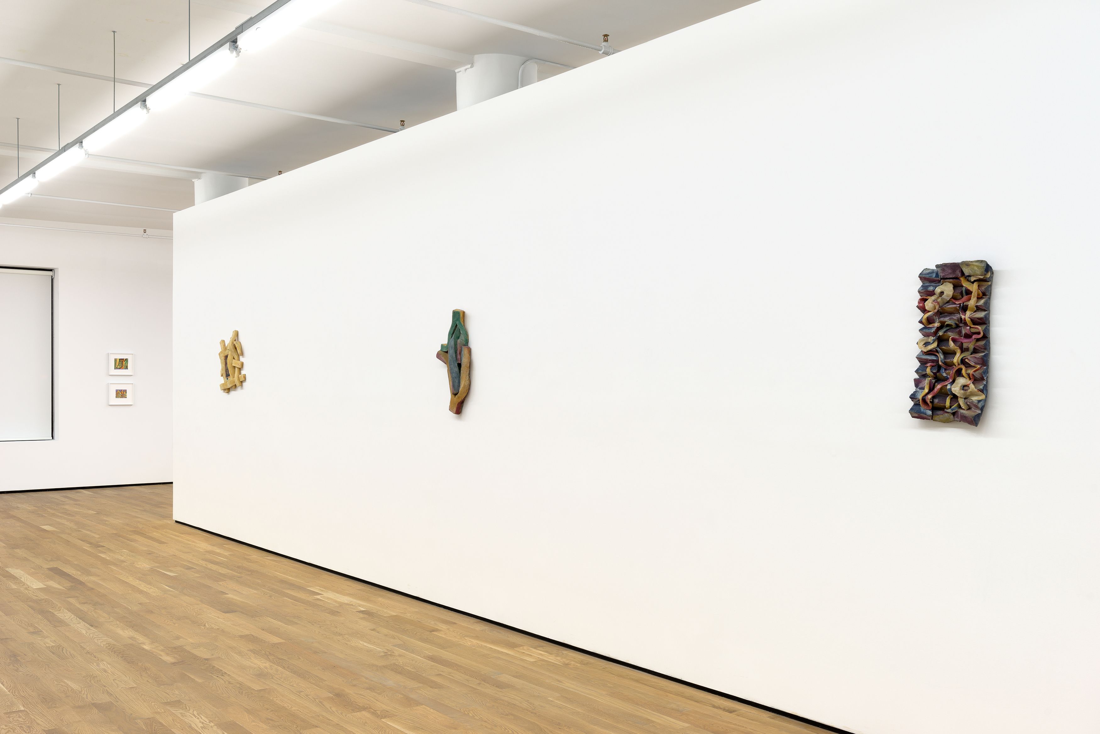 Gabriel Hartley, Reliefs, 2016, installation view, Foxy Production, New York