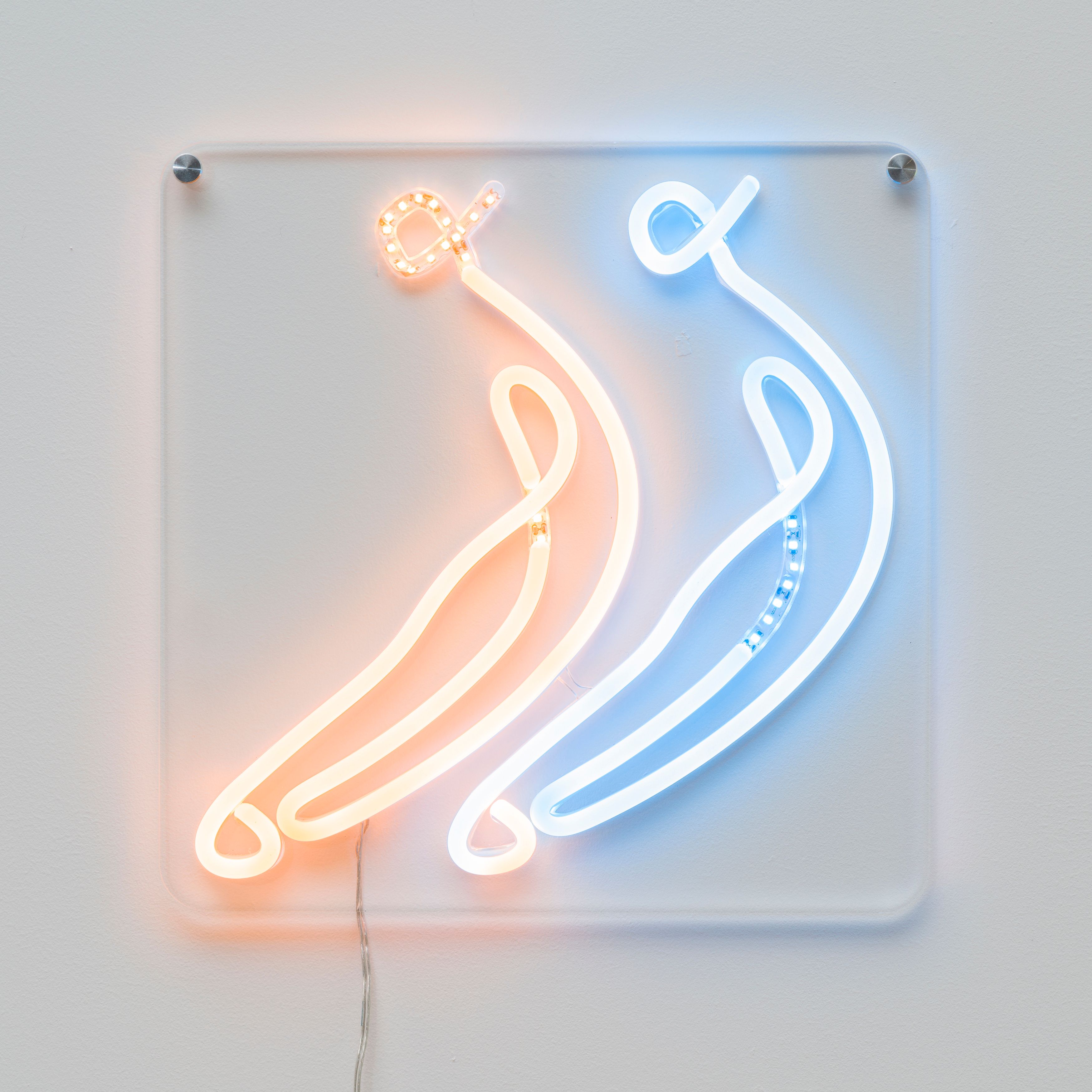 Choey Eun Young Cho, Bananananana (banana18), 2022, CNC engraved plexiglass, LED strip lights, connection wires, silicone tubes, 12 x 12 in. (30.48 x 30.48 cm)
