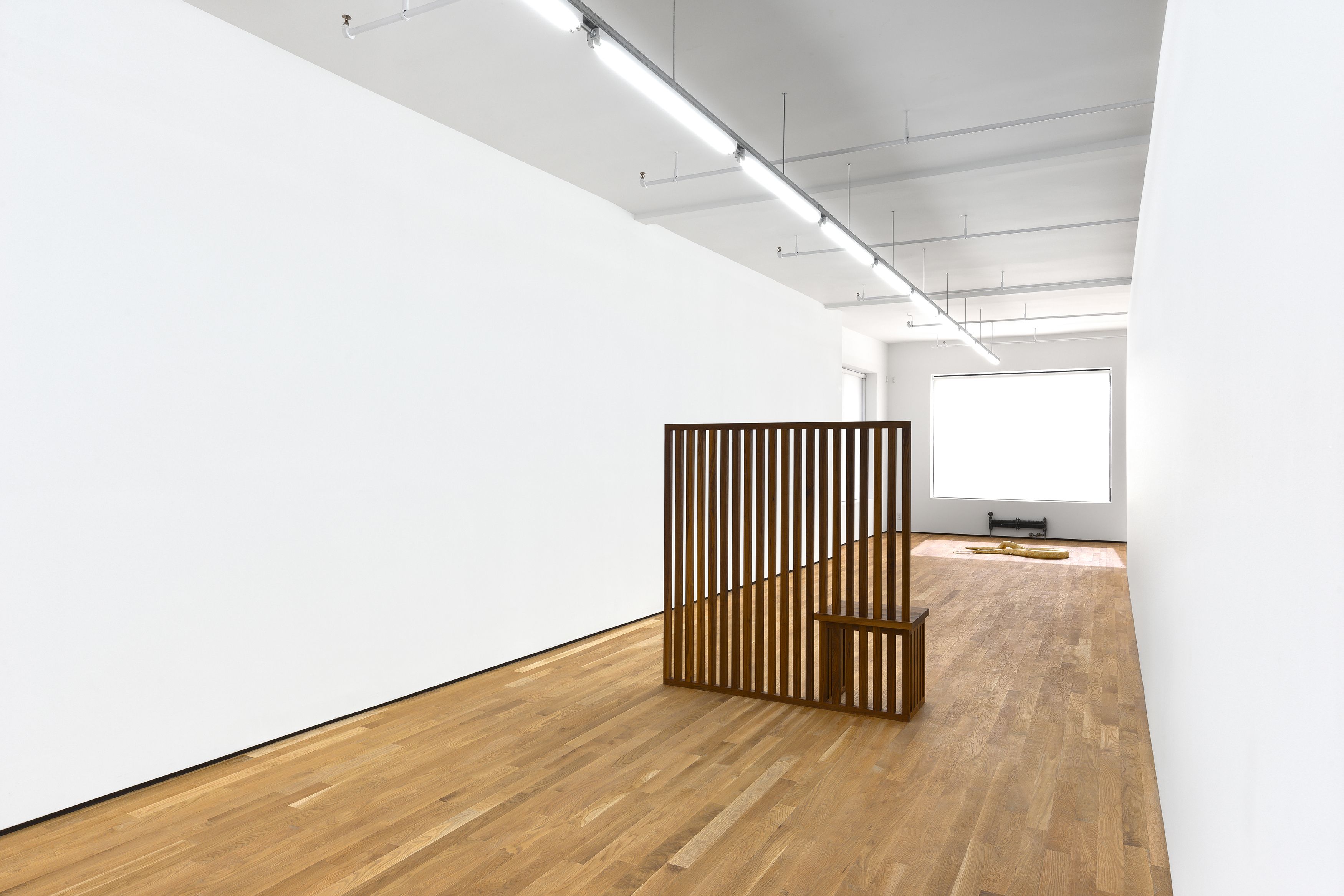 Stephen Lichty, 2016, installation view, Foxy Production, New York
