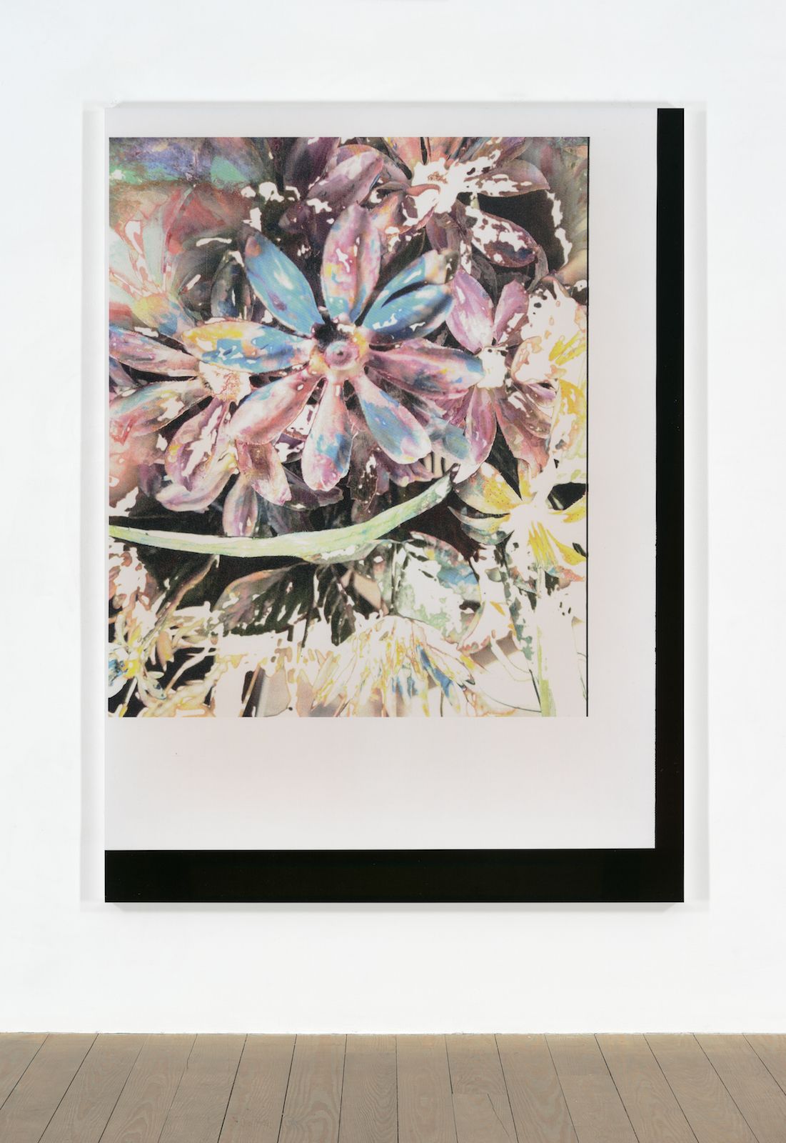 Travess Smalley, Untitled (Feb_24_2015_Floral_LuluBook_Scan 1), 2015, UV coated digital pigment print mounted on aluminum frame, 81 1⁄2  × 59 1⁄2  × 1 1⁄2  in. ( 207.01  × 151.13  × 3.81  cm)