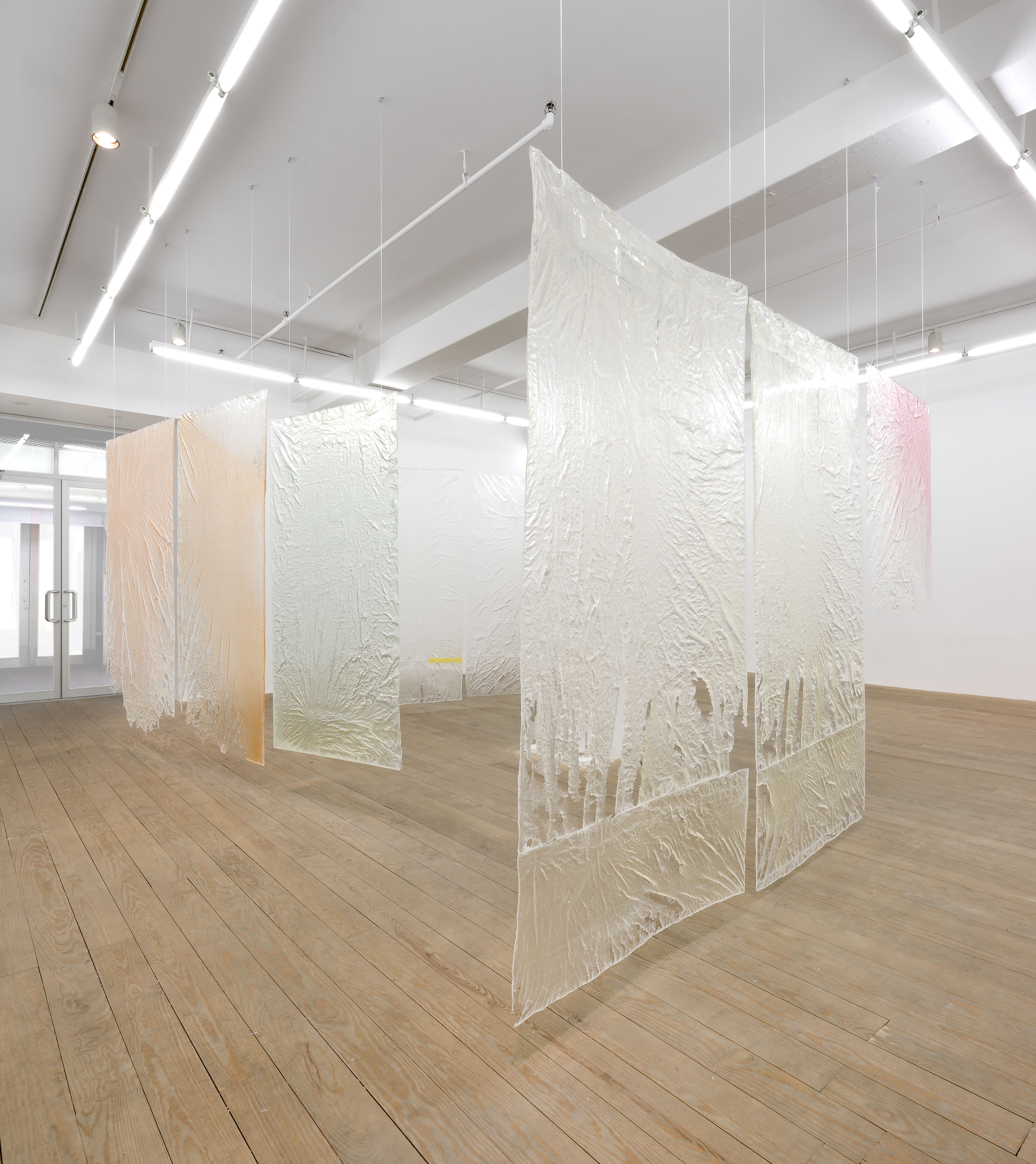 Ester Partegàs, 2015, installation view, Foxy Production, New York