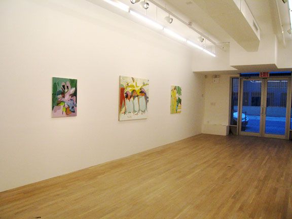 Yuh-Shioh Wong, 2006, installation view, Foxy Production, New York