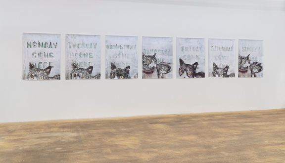 Andrei Koschmieder, Untitled (Catnip High Series), 2010, chromaLife100 and watercolor on photo paper, series of seven, each 46 1/2 x 35 in. 