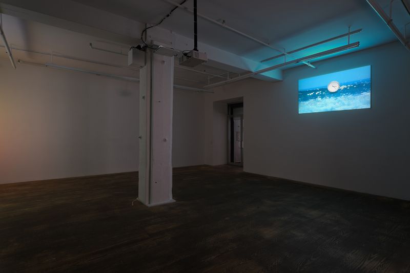 Michael Bell-Smith, 2012, installation view, Foxy Production, New York