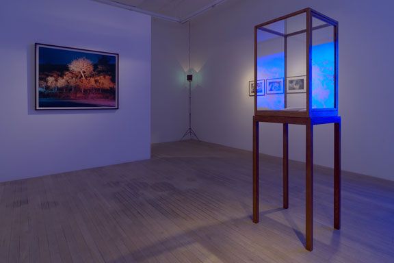 Power, 2008, installation view, Foxy Production, New York